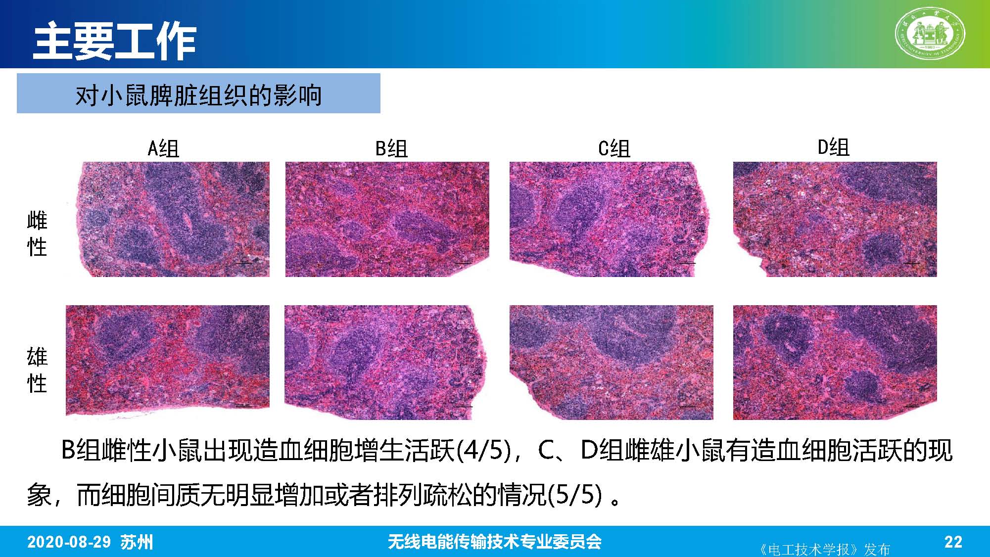 河北工業大學趙軍博士：無線電能傳輸系統的生物電磁綜合效應研究