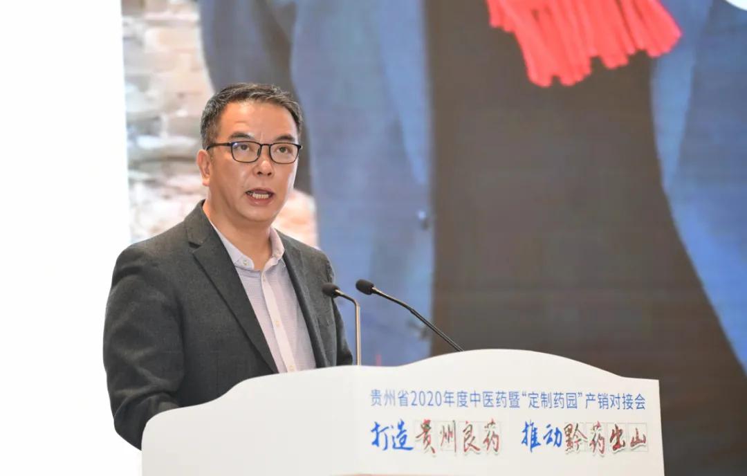【关注】专家谈推进粤黔中医药传承创新发展：创新融资模式，优化发展路径