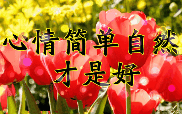 早上好漂亮表情问候祝福文案图片 早上好朋友圈表情图片精华图片