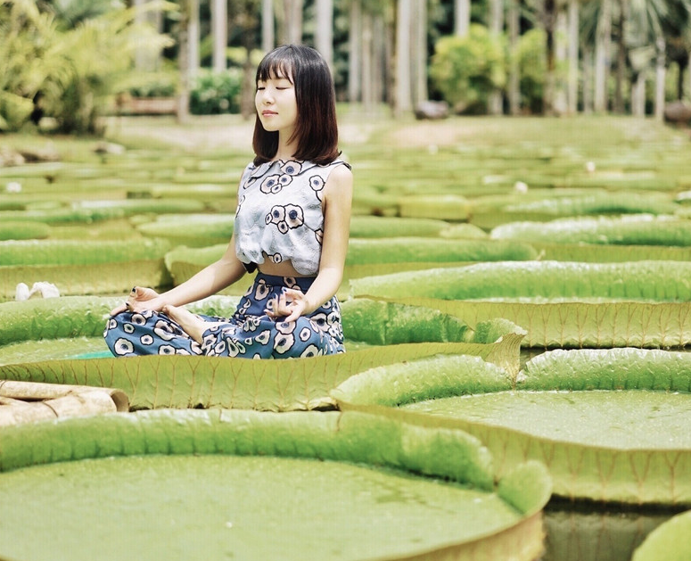 西双版纳“神奇植物”王莲：一个成年女子可坐，真正的“水上漂”