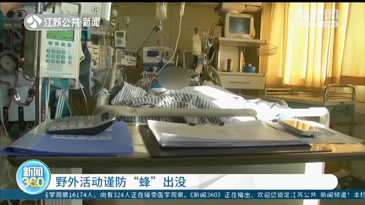 90后宝妈摘栗子碰到马蜂窝 全身被蜇了70多口，不幸身亡