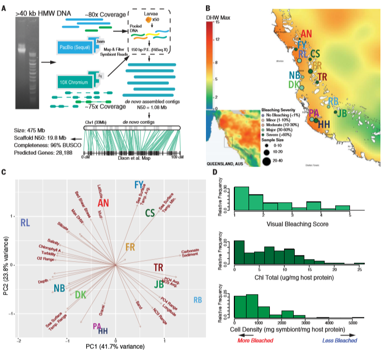 Science | 群体研究新思路：De novo + GWAS