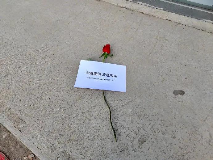 Atlas | Eider down takes the advantage that buys big drop, be clear at a glance with a ha is breathed out