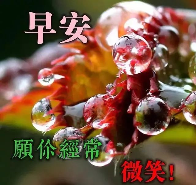 早上好图片大全 最美 漂亮 新版2021图片