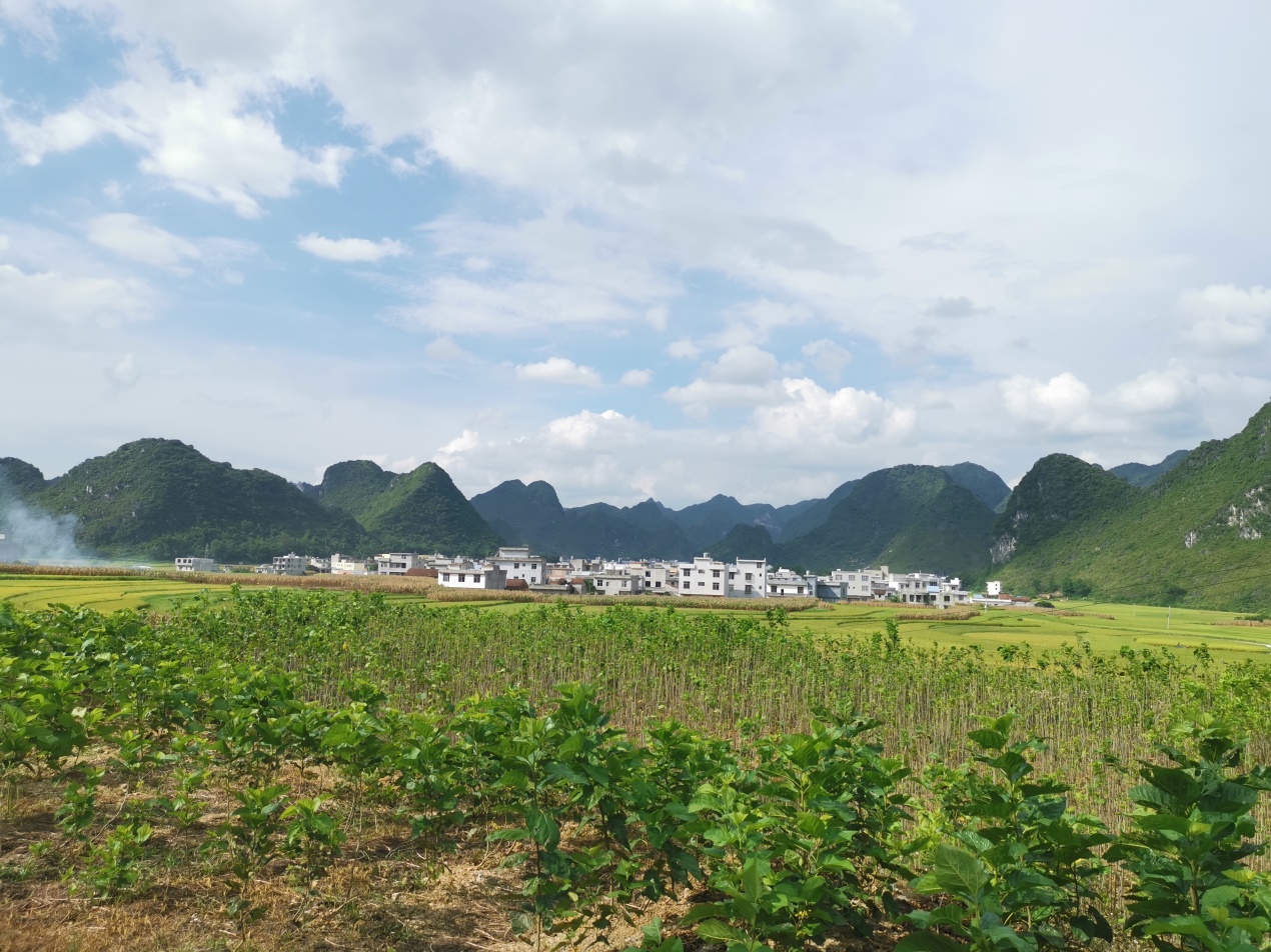 爱心助农，打通山村＂生命之源＂