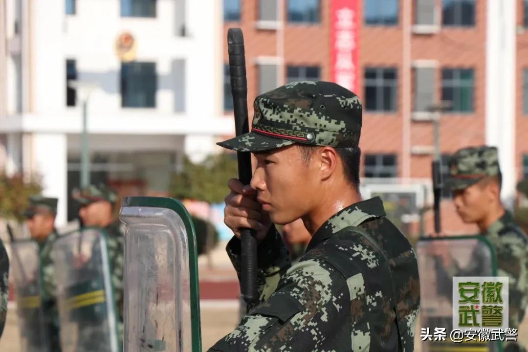 除了长得好看的，这些“专业的”也上交国家了！