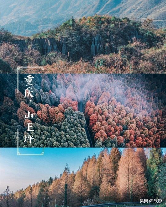 October is the most worthwhile travel. These places have the most beautiful maple leaves and are also the best shooting locations