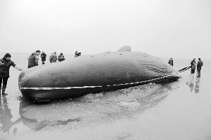 新疆三十万老鼠离奇跳崖，专家纷纷进行猜测，