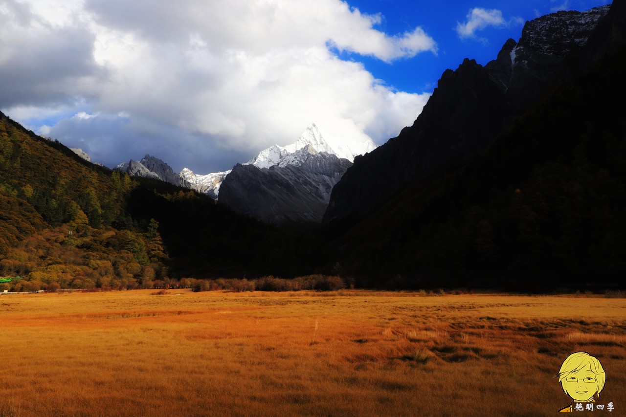 The golden autumn is here again, if you want to go to Aden, Daocheng, you should set off