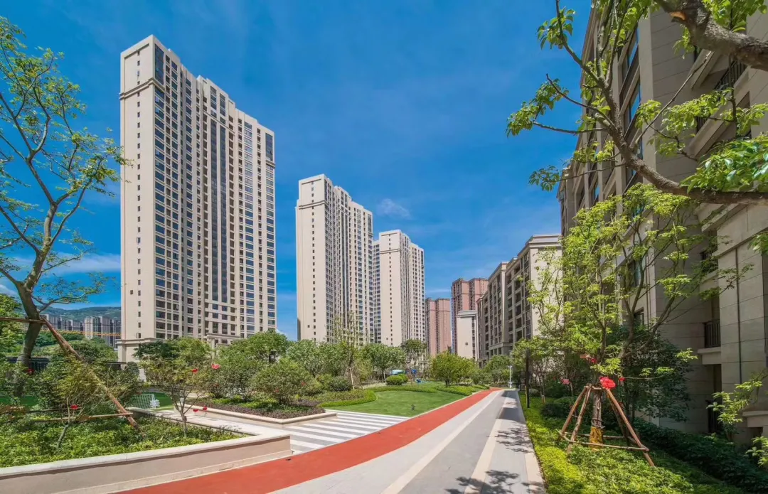 曾经播下的希望种子，此刻已枝繁叶茂