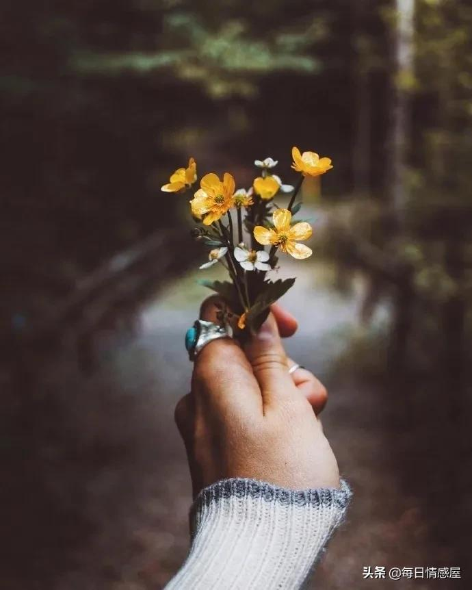 如阳光般励志的正能量句子