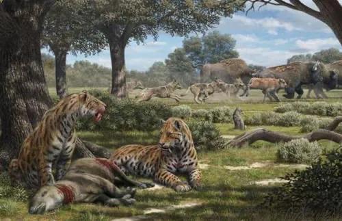 人類為何隻吃食草動物的肉，而很少吃食肉動物？