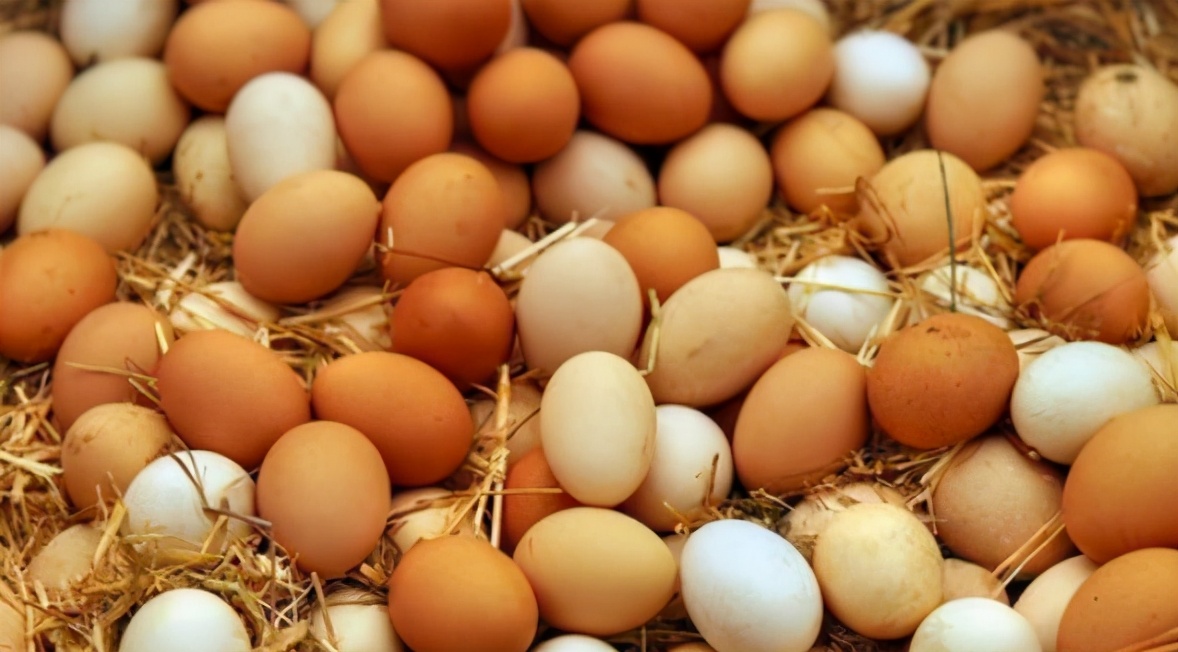 图片[5]-如何挑选新鲜好鸡蛋-起舞食谱网
