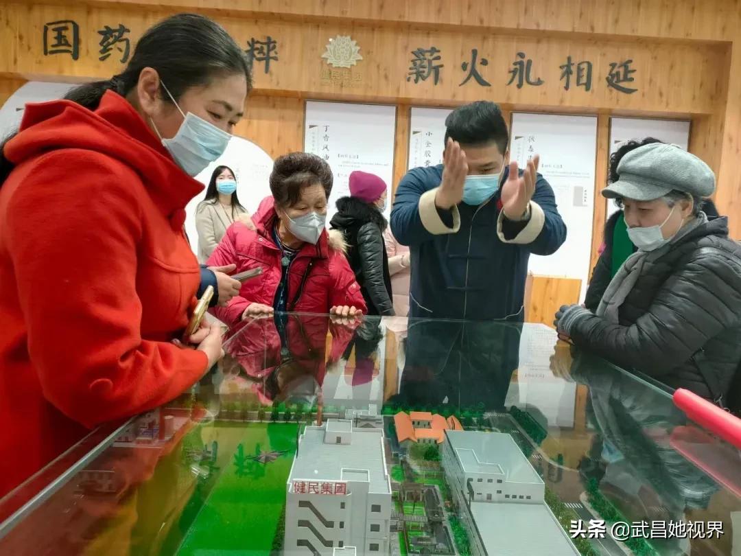 树文化自信，社区妇联执委带你探寻本土中医药文化