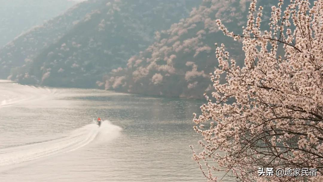 清明不用多请假，3天刚好的旅行，安排起来