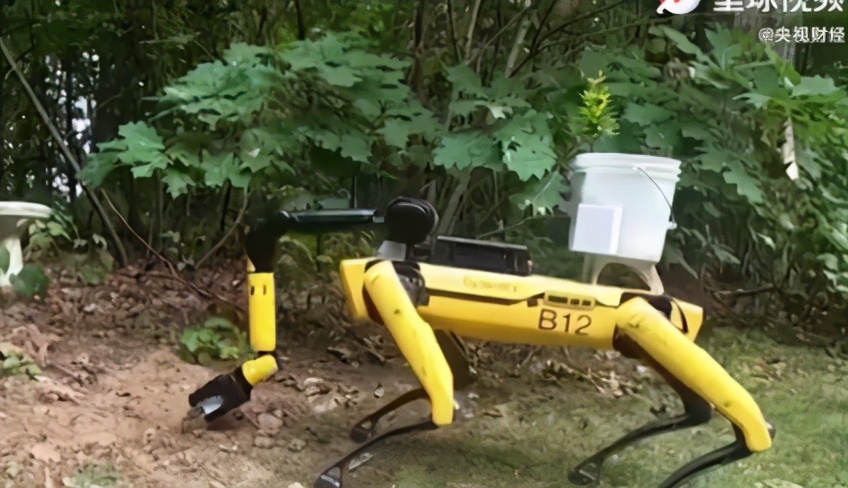 The machine dog that can do chore comes on stage, the netizen expresses: Very good, but can not afford