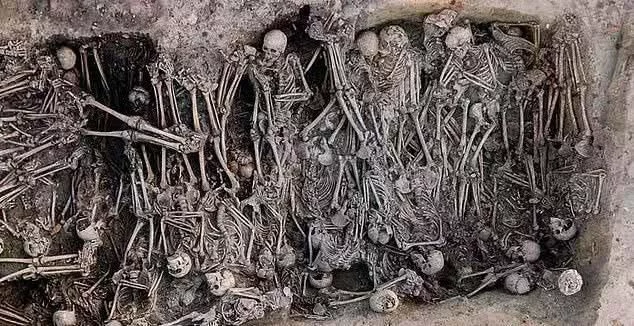 基因证据：中世纪黑死病如何传播致欧洲六成人口共2亿人死亡？
