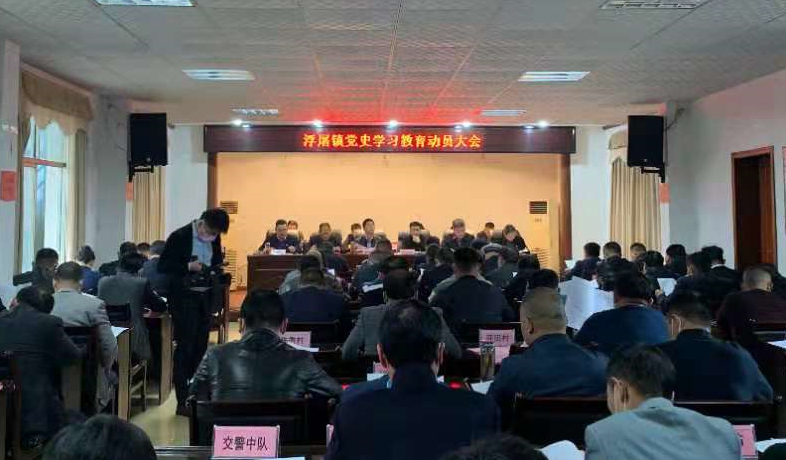 打造村民“向往的生活”陽新縣浮屠鎮(zhèn)將黨史學(xué)習(xí)教育落到實(shí)處