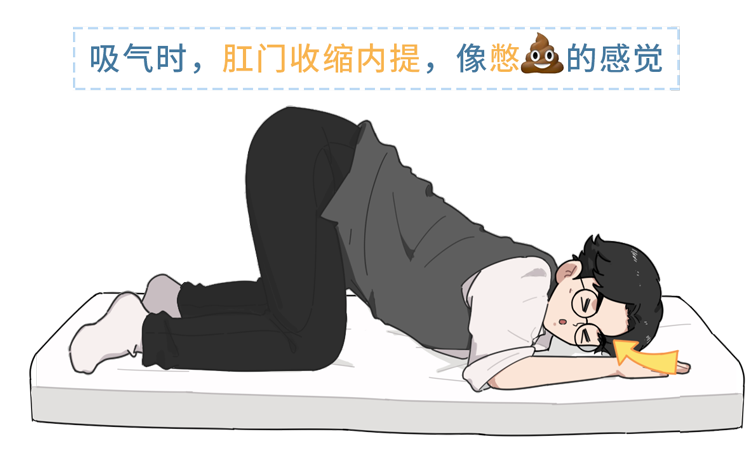 解锁提肛运动肛肠前列腺泌尿系统都会感谢你