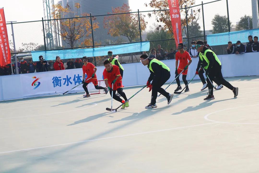 「奥体中心」第二届冰雪运动会陆地冰球成功举办