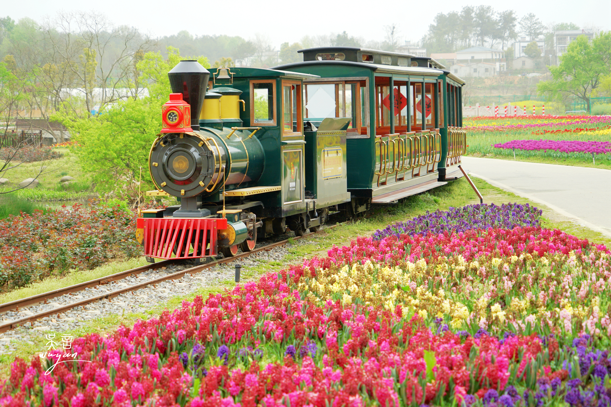 不负春光不负君木兰花乡温柔了匆匆时光