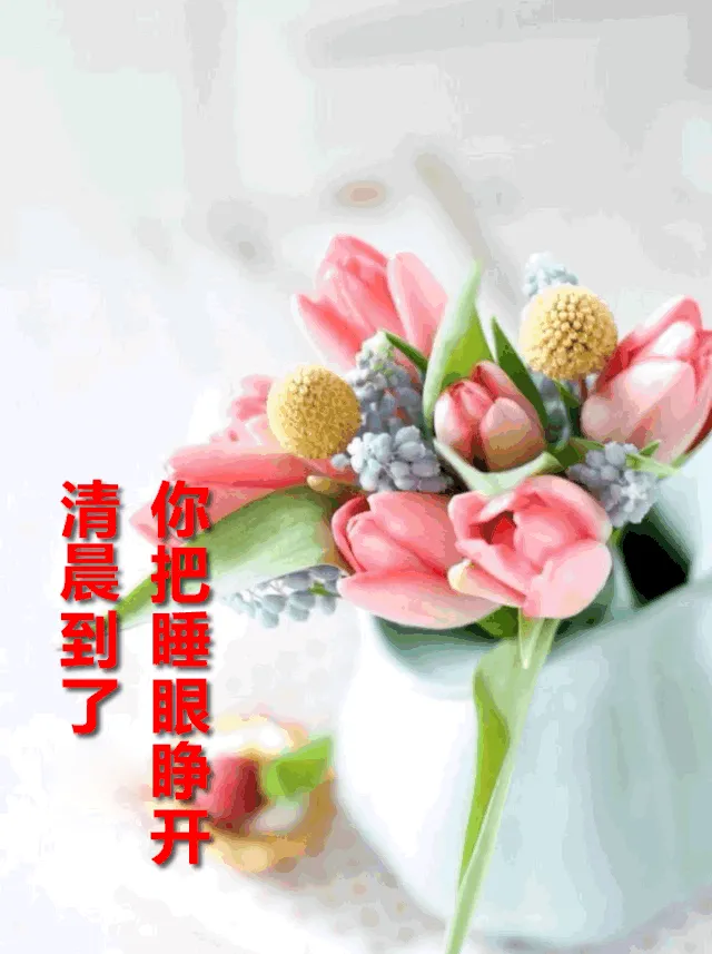 最新的早上问好祝福图片带字,最真诚的早安问候美图图片