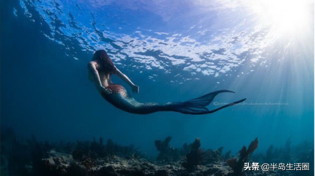 青岛海洋生物医药研究院“上新啦”美女博士团精研“这片海”