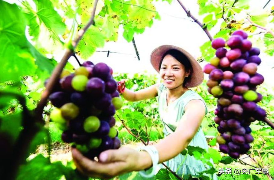 军队人大代表表示：将脱贫攻坚进行到底