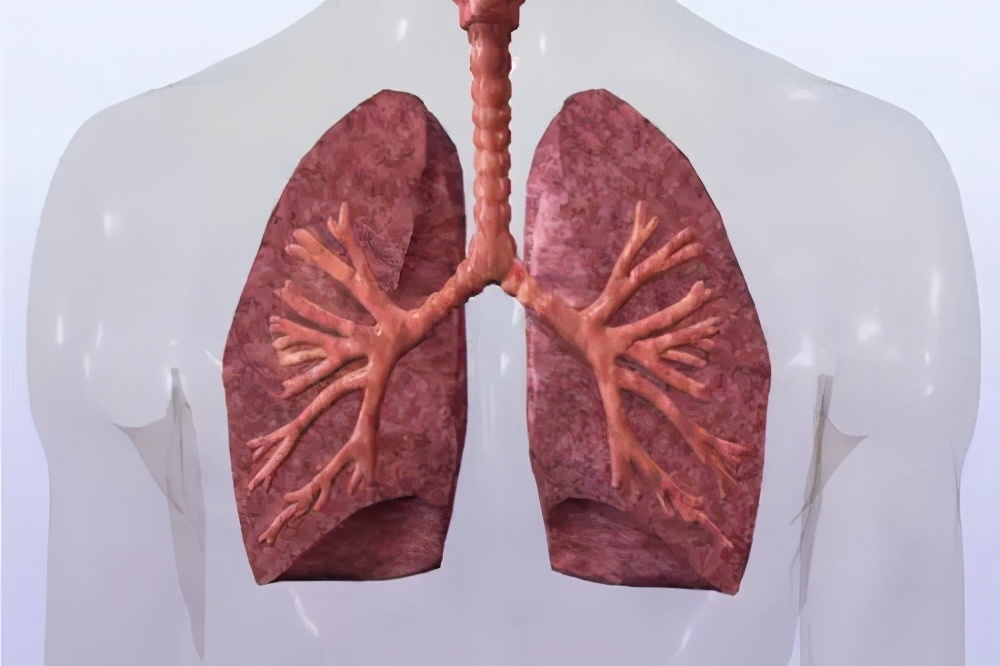 肺积水的治疗，主要是什么原因造成的？如何治疗呢？