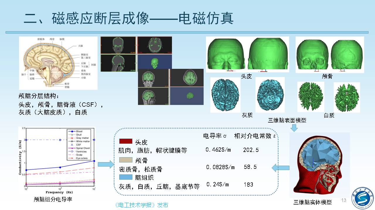 沈陽工業(yè)大學(xué)柯麗教授：感應(yīng)式顱腦電磁特性檢測與成像方法研究