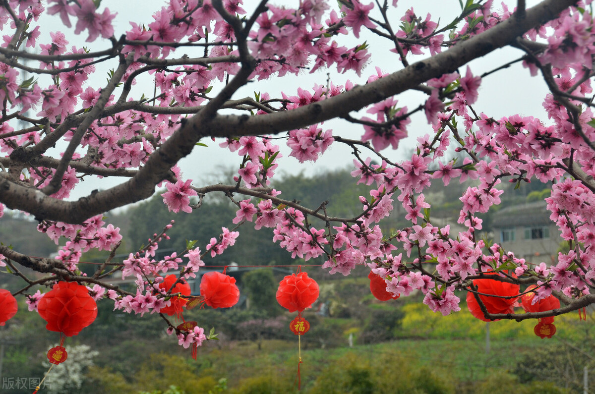 诗词故事：李白，桃花潭水深千尺，不及汪伦“骗”我情-第2张图片-非凡网