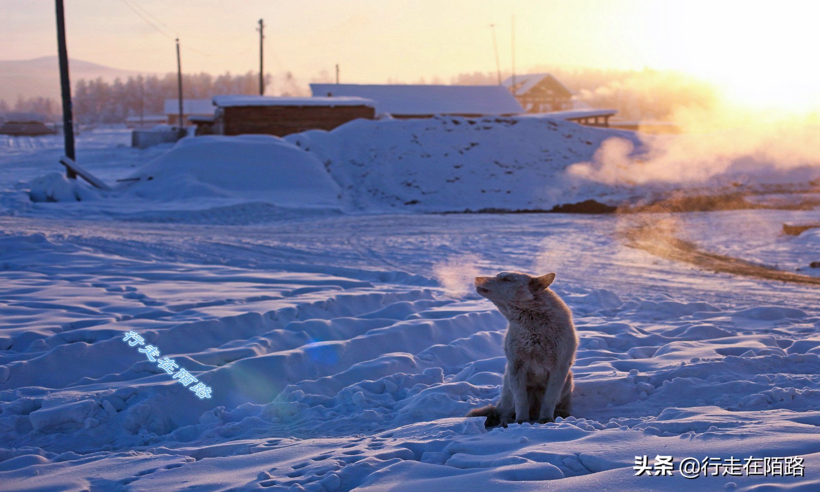 -67℃的奥伊米亚康：挖个坟要5天，生老病死都得看天气