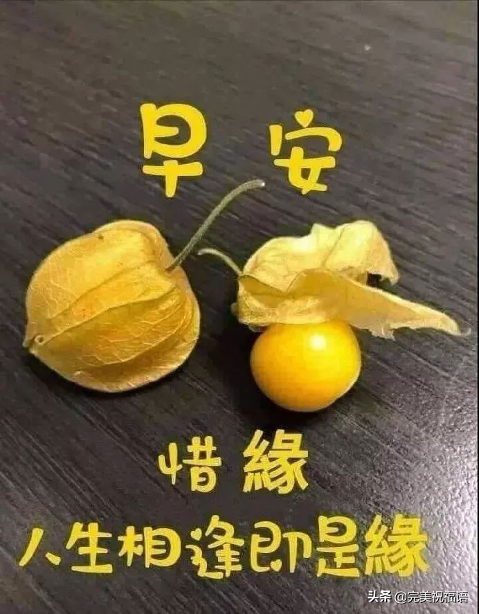 最新早安祝福问候语图片，清晨祝福大家早上好吉祥语