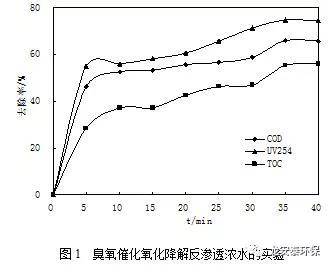 龍安泰環(huán)保 | 臭氧催化氧化工藝在污水處理廠提標(biāo)改造中的應(yīng)用