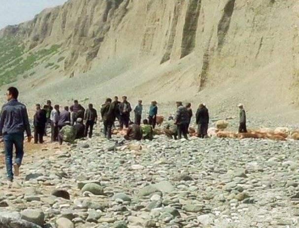 新疆三十万老鼠离奇跳崖，专家纷纷进行猜测，