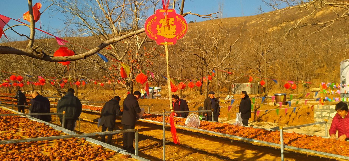 河北玉田丨自选柿饼节在围子山庄开幕