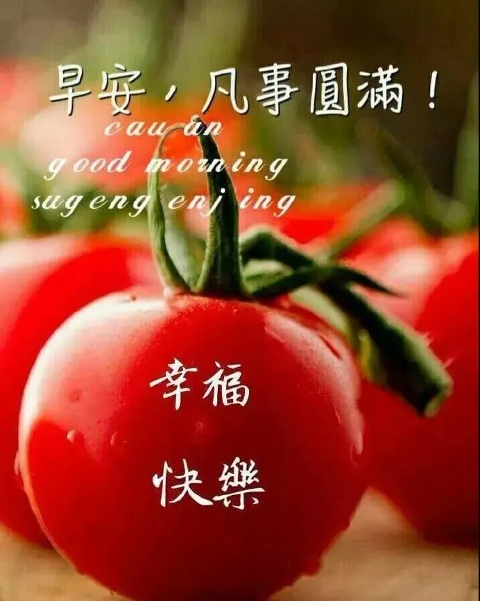 正能早上好祝福动态表情图片 最新版早晨好问候文案朋友圈图片