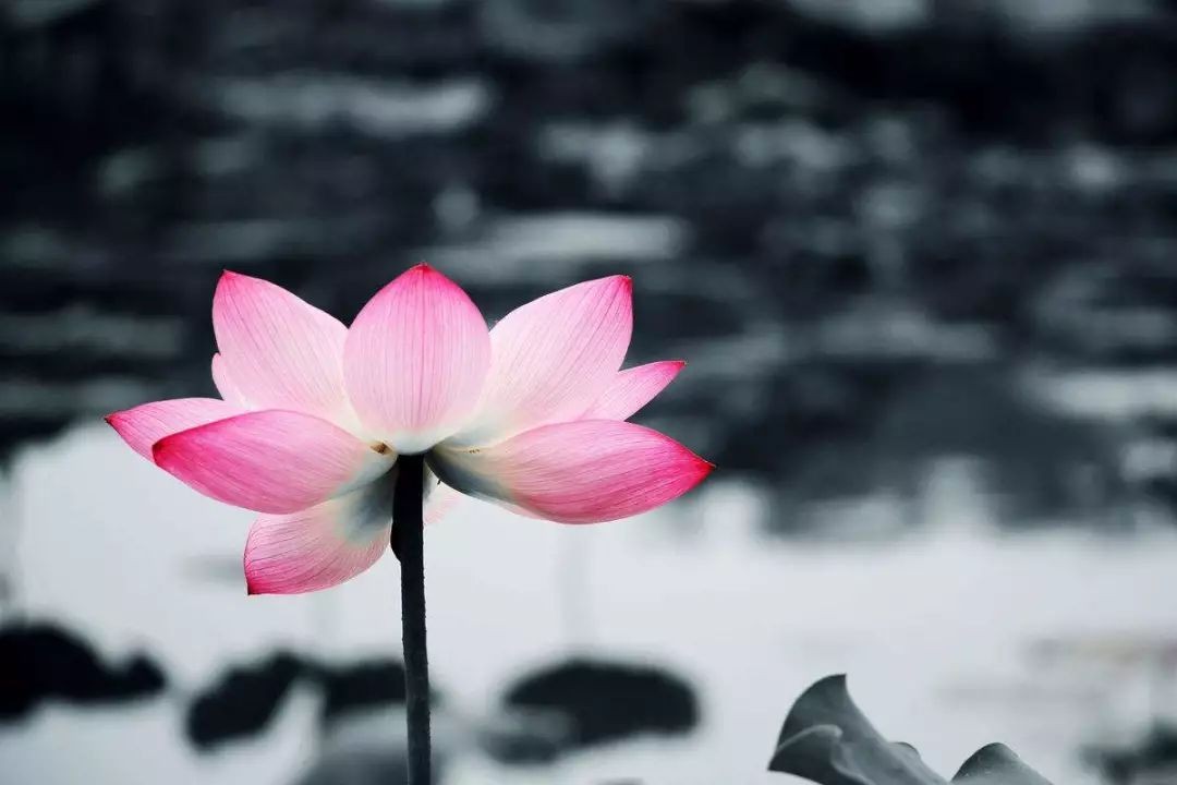 ɹ֮˶е5 Լм