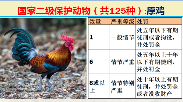 国家最新125类二级野生保护名录，图片及违法对应刑责