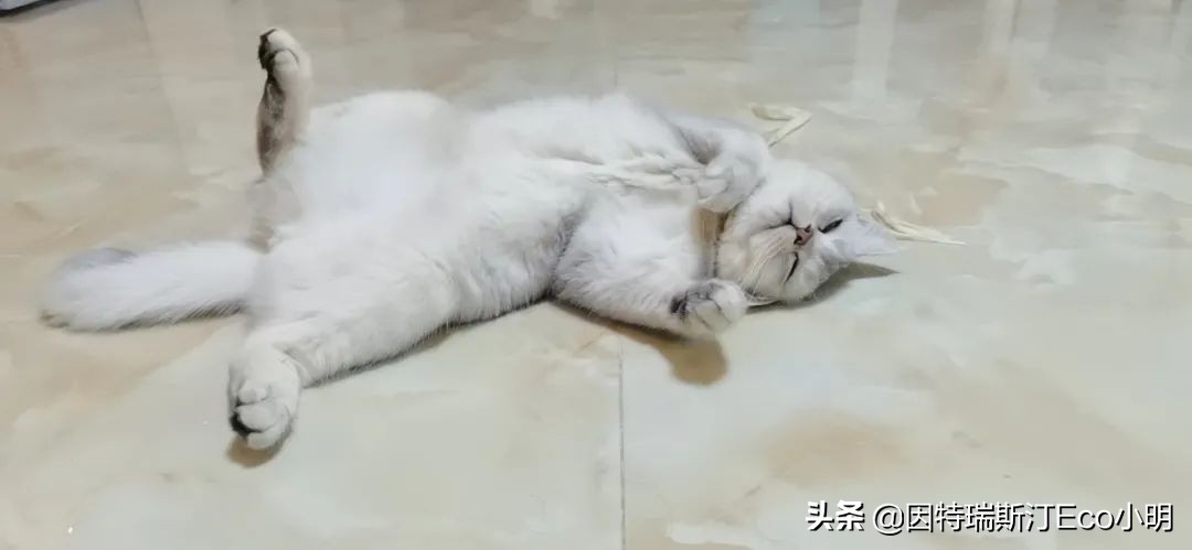 蔚来用PPT干崩了产业链？新能源还有救嘛