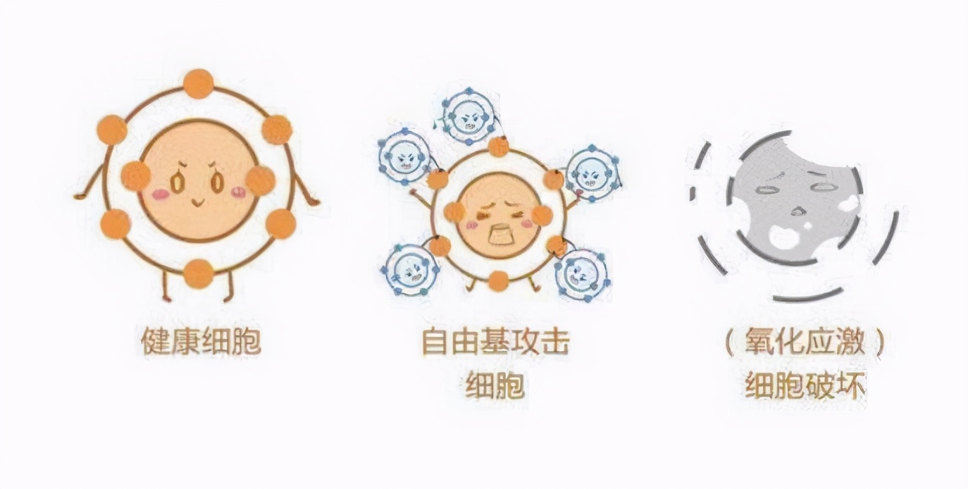 不同年龄段怎么选抗老护肤品？搞懂“重点”，才能事半功倍