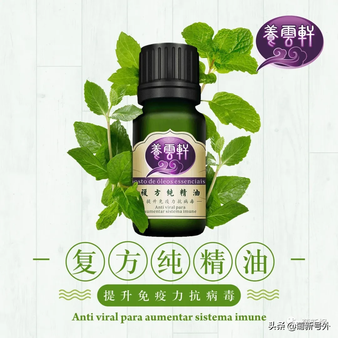 乘风破浪的好姐姐