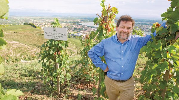 罗纳河谷：法国最大的法定红葡萄酒产区