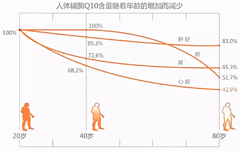 美科学家发现心脏重要辅酶，心脏问题与它有关，缺它可能猝死