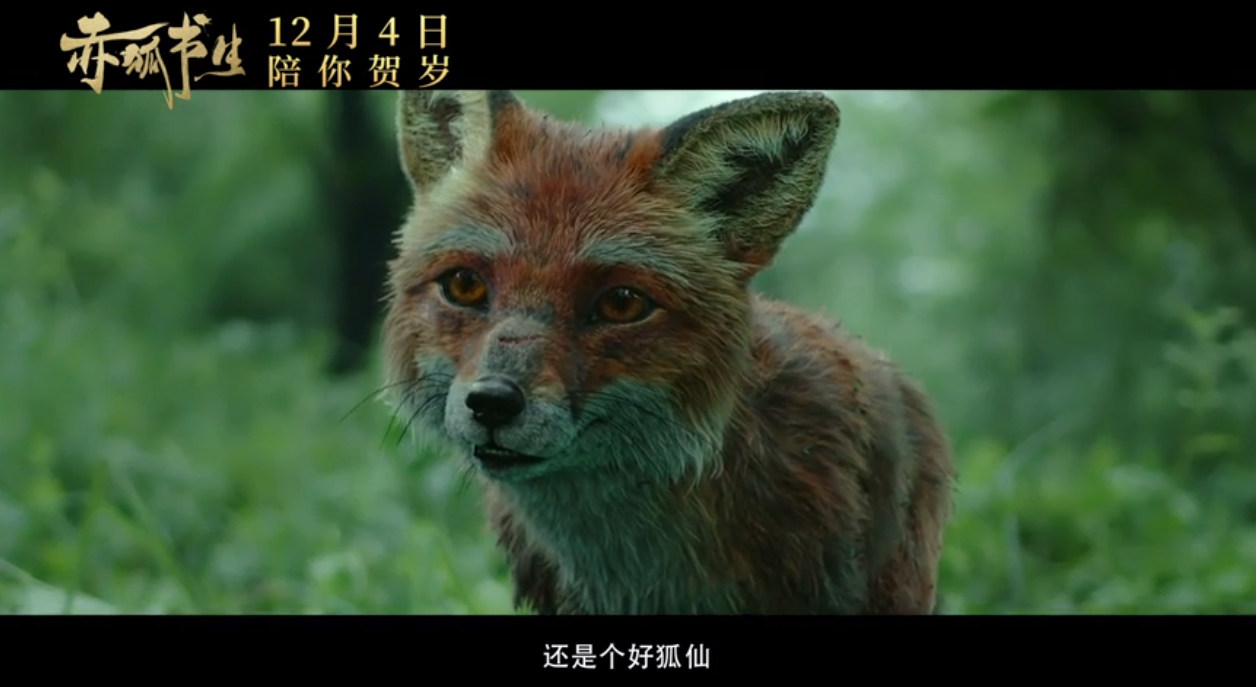 《赤狐书生》口碑两极分化，陈立农被批口音出戏，粉丝疯狂控评