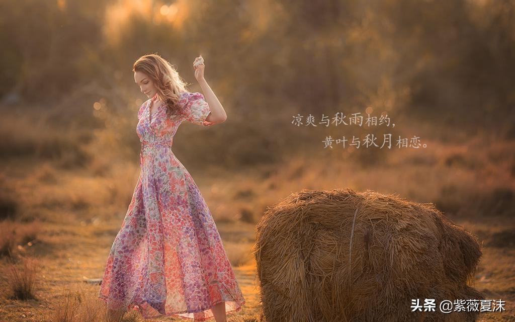 描写秋天景色优美句子简短 秋天迷人的景色的句子图片