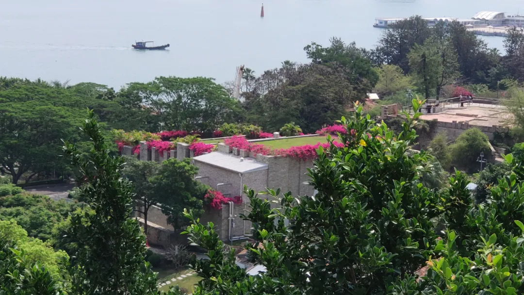 鼓浪屿花景惊艳“上新”,华丽蜕变春日绽放