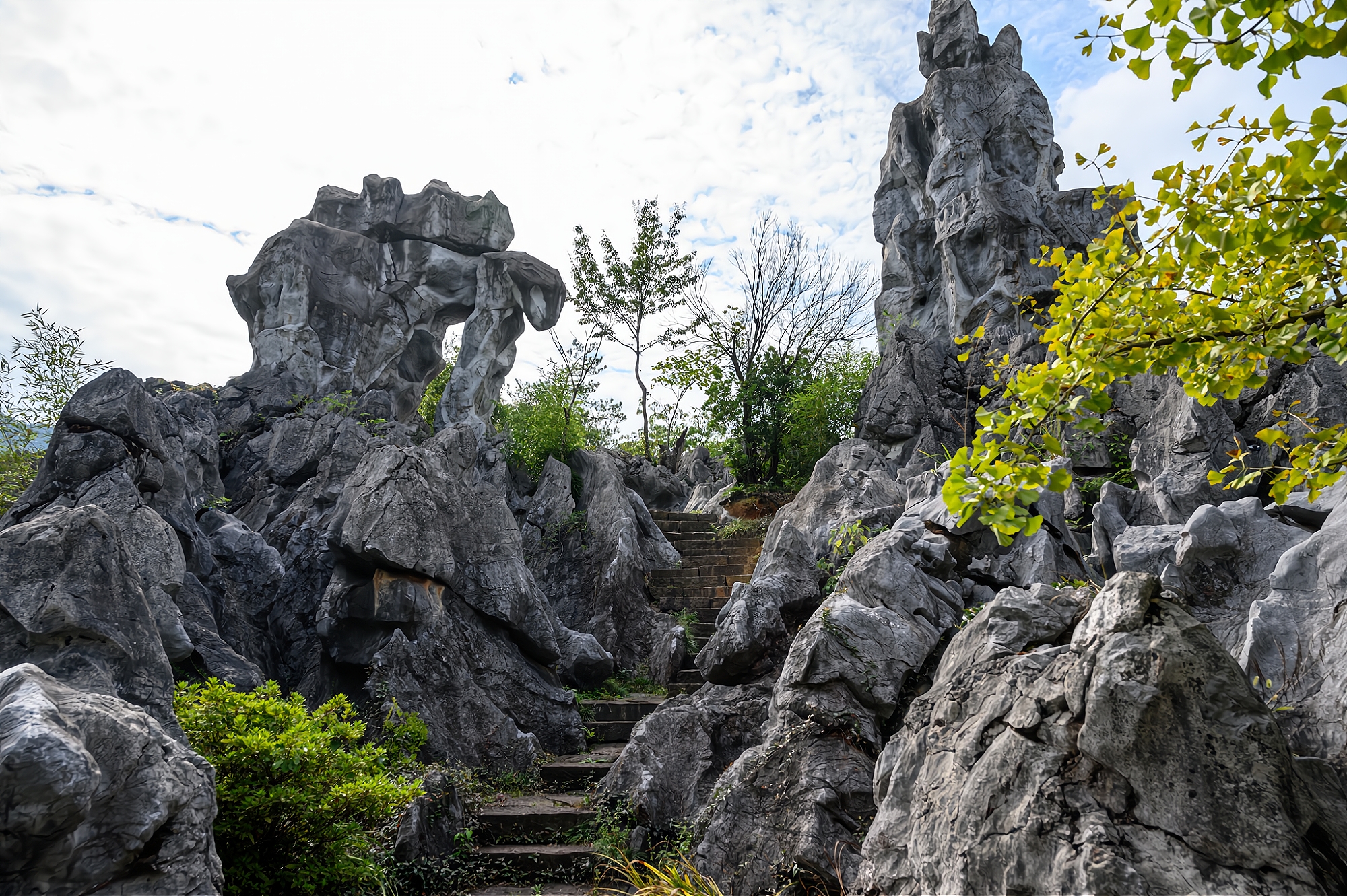 It is one of the four largest stone forests in China. It is as famous as the Yunnan Stone Forest and is known as "the first stone forest in East China"