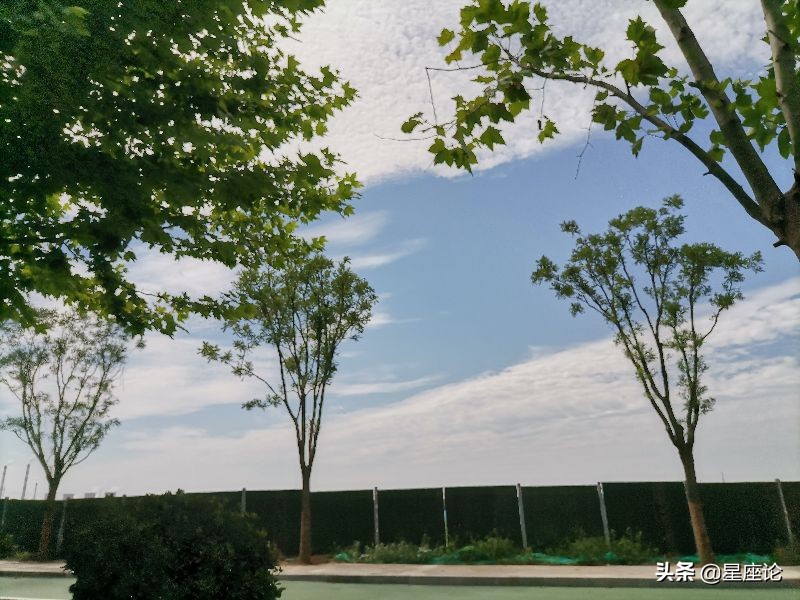 金牛座今日运势 每日星座运势