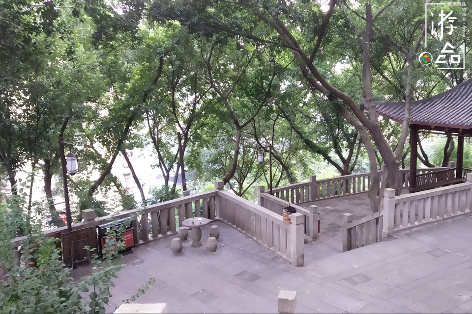 重庆最特别的花鸟集市，距离解放碑不到500米，每周仅开放一天